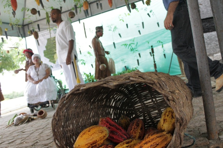 Instalação pedagógica com cacau de agricultura familiar no III Encontro Nacional de Agroecologia.